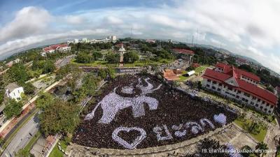 Agro-Industry Gets a Major Boost in the Southern Border Provinces (Example)